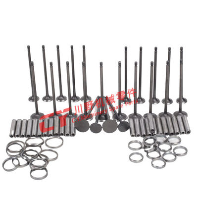 De Klep van de Exavatormotor S6K C6.4 & Klepgids & de Delen van Klepseat